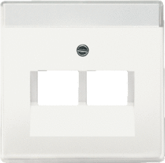 Busch Jaeger 2CKA001710A3888 - inzetplaat 2x modulair jack 1803-02-884 mat wit future