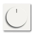 Dimmer afdekplaten
