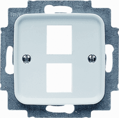Busch Jaeger 2CKA001753A3965 - inzetplaat 2 x modulair jack 2561-02-214 rsi