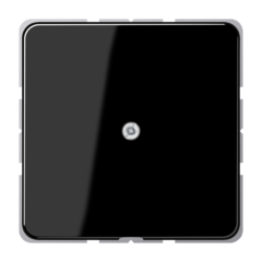 Jung CD590ASW - afdekplaat blind zwart cd590asw