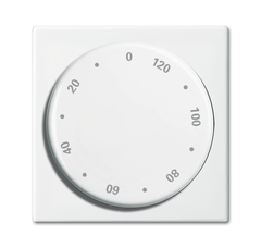 Busch Jaeger 2CKA001753A0236 - inzetplaat + greep 1771-914-102 balance si 0-120min.