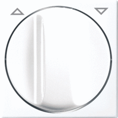 Busch Jaeger 2CKA001753A0231 - inzetplaat jaloezie 2542dr-914 bsi