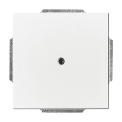 Busch Jaeger 2CKA001710A3161 - inzetplaat blind 1742-84 studio wit future linear
