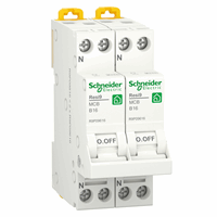 Schneider Electric R9P09816 - resi9 fornuisgroep 2p+2n b16 6ka