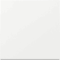 Gira 329603 - wipplaat universeel wissel zuiver wit glanzend 55 (nieuw model)