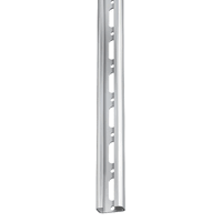 FastFix 50010 - 10 rail R1 2mtr p.m. sendzimir