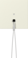 Gira 363801 - inzetplaat trekschakelaar cwg 55
