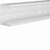 Hager BR6510019016 - br65 bodemprofiel, 68x100 mm, pvc, verkeerswit lengte 2 meter