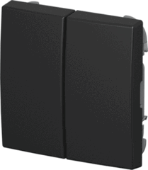 Busch Jaeger 2CKA001731A4040 - wipplaat universeel serie 2-voudig balance mat zwart 2505-915