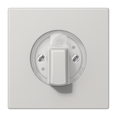 Jung LS1941LG - inzetplaat + knop jaloezie/timer/3-standen licht grijs ls990