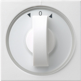 Gira 066603 - inzetplaat+knop jaloezie + timer 15-120min. zwg 55