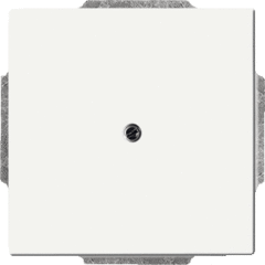 Busch Jaeger 2CKA001710A3873 - inzetplaat blind 1742-884 mat wit future