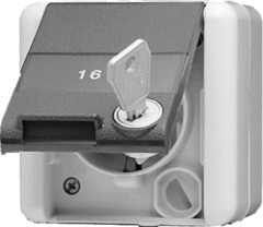 Jung 820NAWSL - 820 NAWSL - wcd randaarde klapdeksel + sleutel afsluitbaar compleet met onderbak wg800