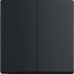 Busch Jaeger 2CKA001751A3038 - wipplaat serie mat zwart 1785-885
